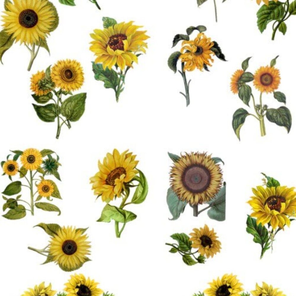 Sunflower Furniture Transfer - Belles And Whistles, Dixie Belle (24" x 32")